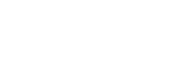 Konfederacja Lewiatan