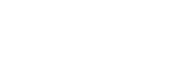 Polityka INSIGHT